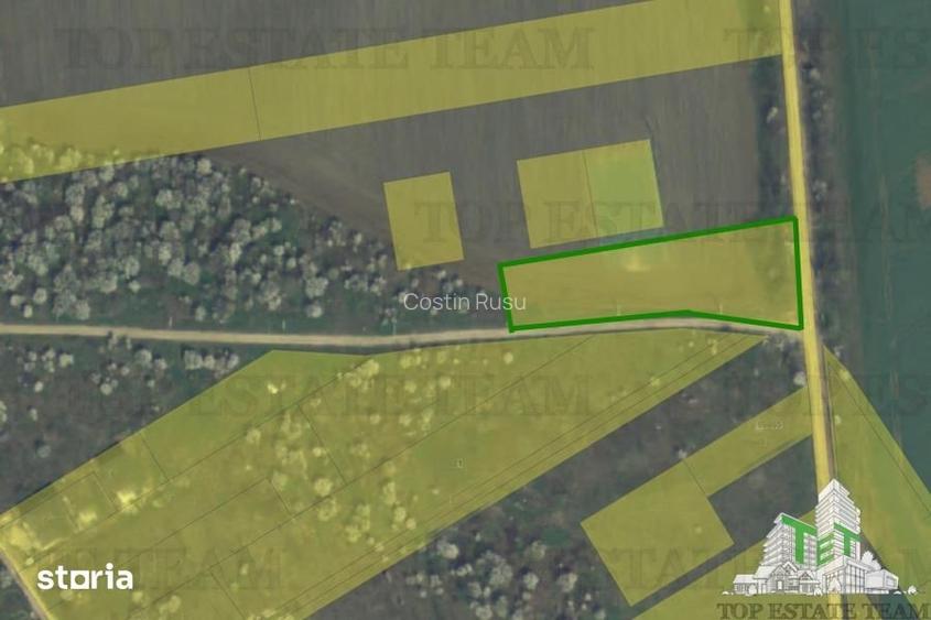 Teren Intravilan pentru constructie, 3000mp, Branesti, Ilfov