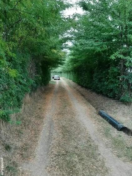 Teren în Central