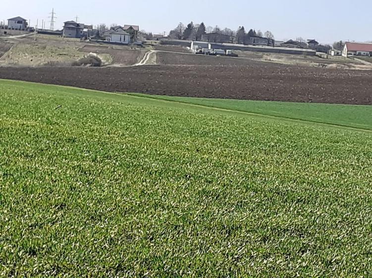 Teren de 14300 mp, în Breazu