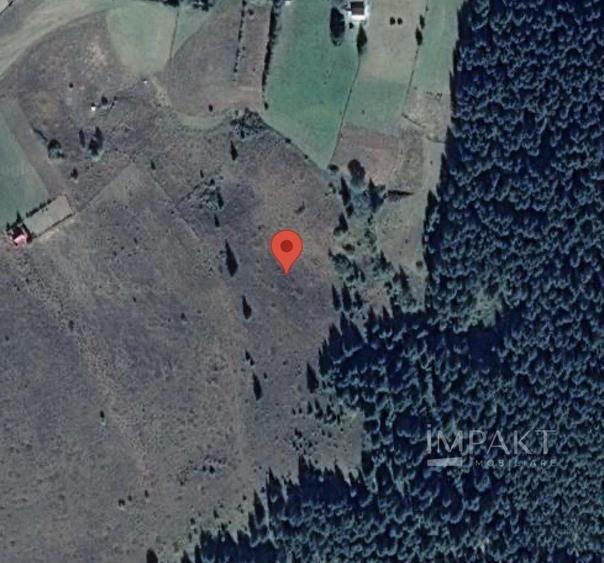 Teren agricol intravilan de 9000 mp, în Beliș