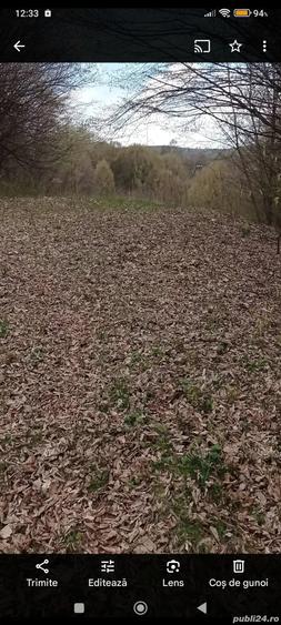 Teren de 6800 mp, în Moisei