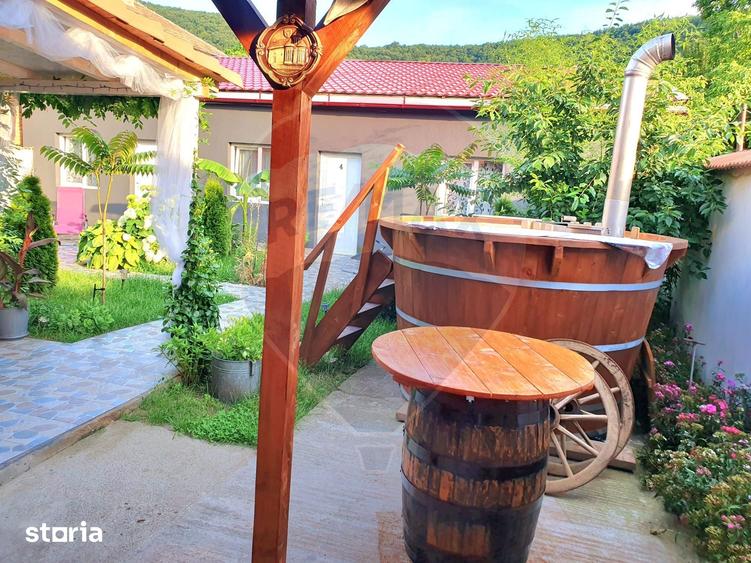 Casă cu 8 camere cu Teren 527 Mp în Berzasca