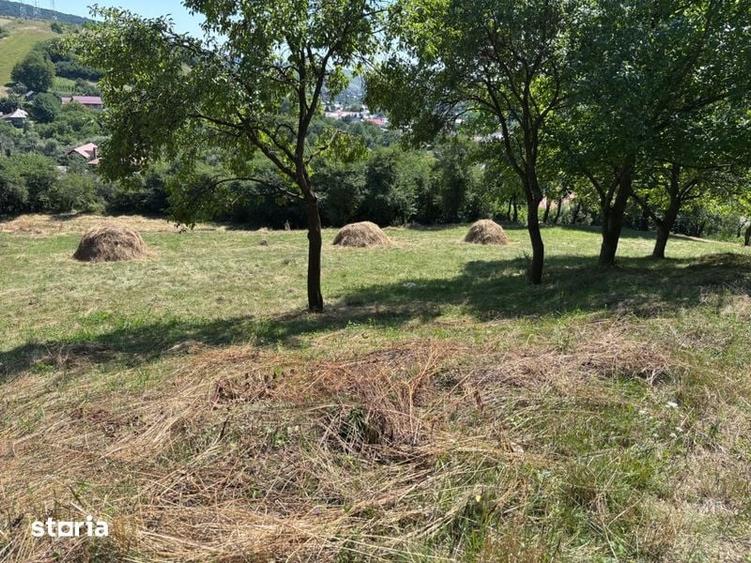 Teren de 5000 mp, în Gârcina