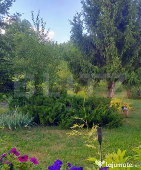 Casă cu 4 camere cu Teren 7729 Mp în Central