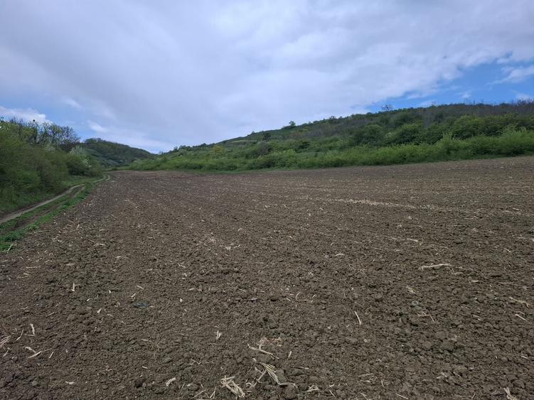 Teren agricol extravilan de 18175 mp, în Gușterița