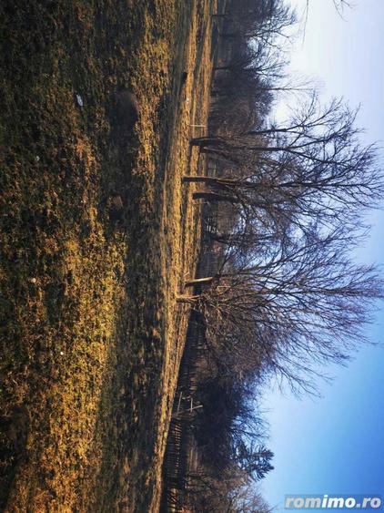 Teren intravilan 1425 mp Trestieni- Valea Doftanei - 3
