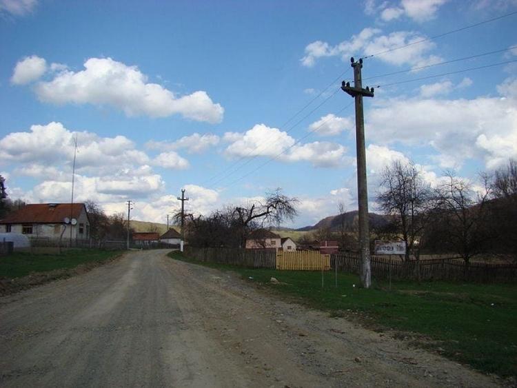 Teren Construcții intravilan de 2878 mp, în Bârzava