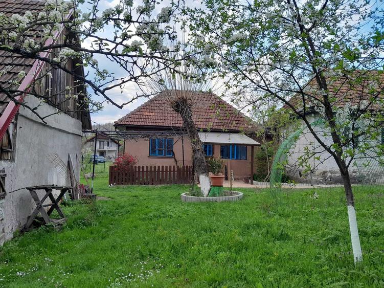 Casă cu 4 camere în Central