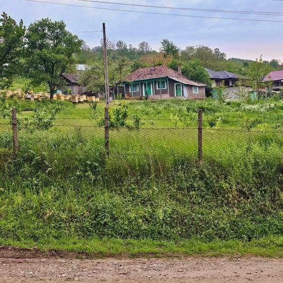 Casă cu 2 camere cu Teren 5000 Mp în Roșu