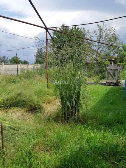 Vand casa cu gradina