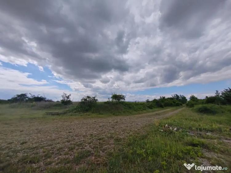 Teren în Ariceștii Rahtivani