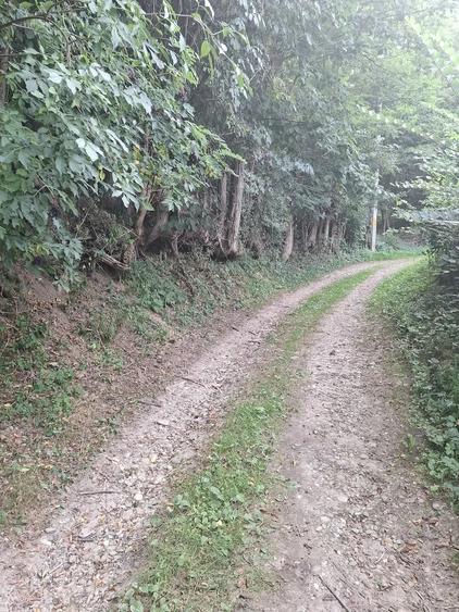 Teren în Valea