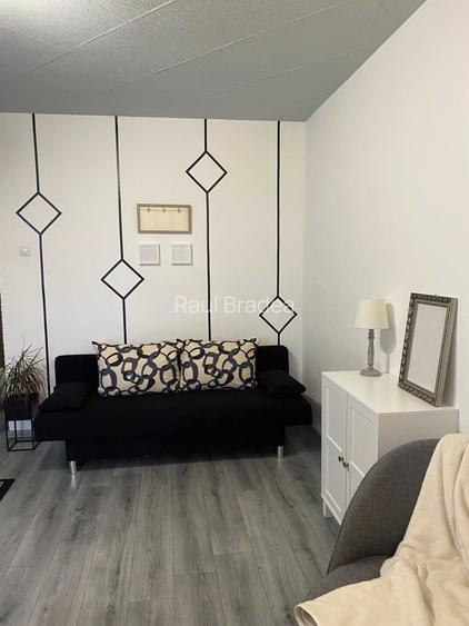 Apartament o camera Cantemir, Salca