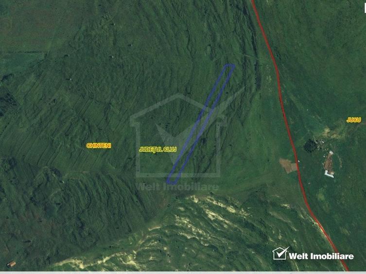 Teren agricol extravilan de 11600 mp, în Feiurdeni