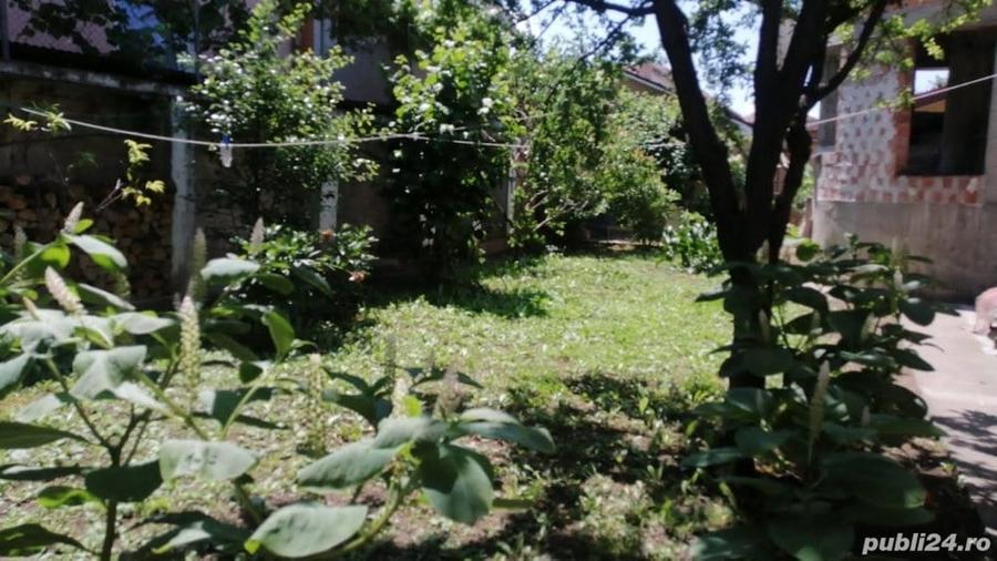 Casă cu 3 camere în Central