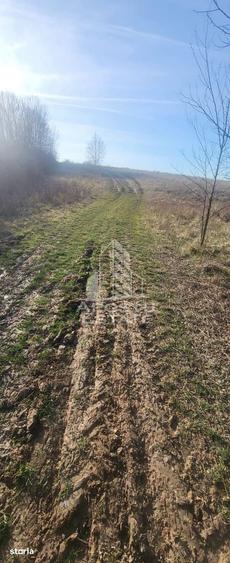 Teren de 5000 mp, în Almaș