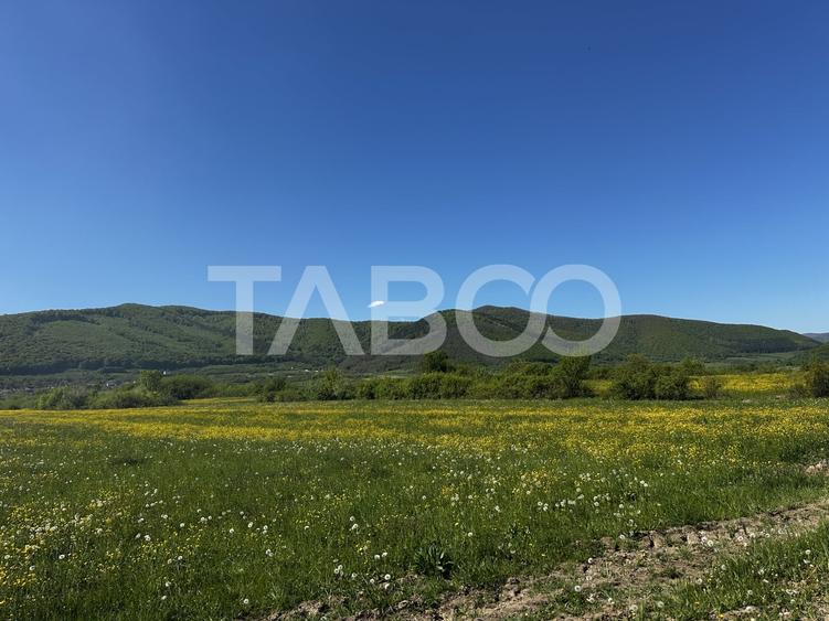 Teren Construcții intravilan de 1800 mp, în Poplaca
