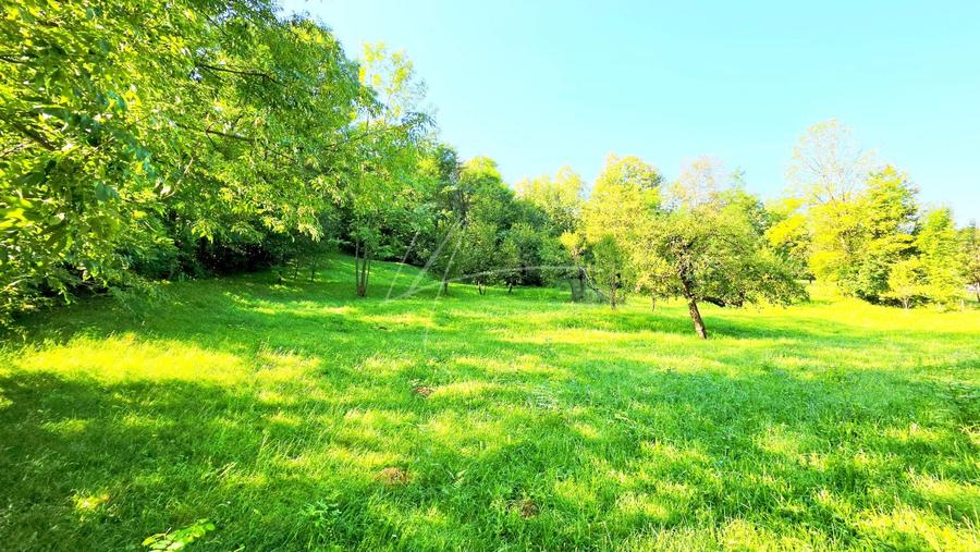 Teren Construcții intravilan de 2870 mp, în Valea Bradului