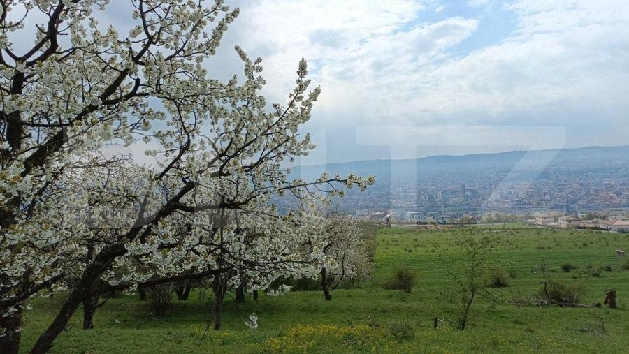 Teren Construcții extravilan de 8310 mp, în Dâmbul Rotund