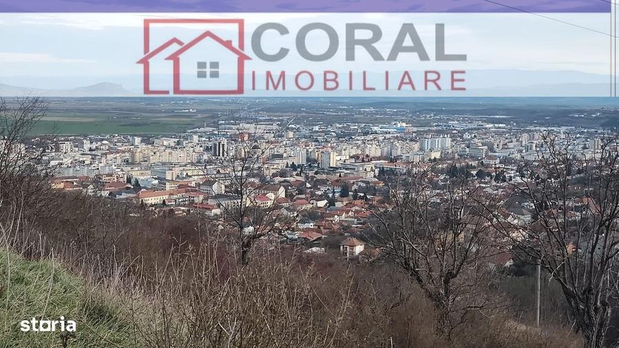 Spațiu comercial, în Decebal