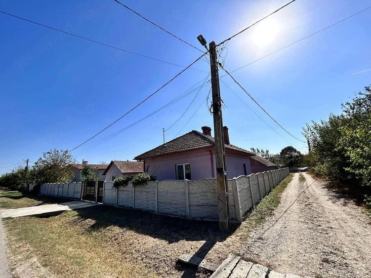 Casă cu Teren 3000 Mp în Arginești