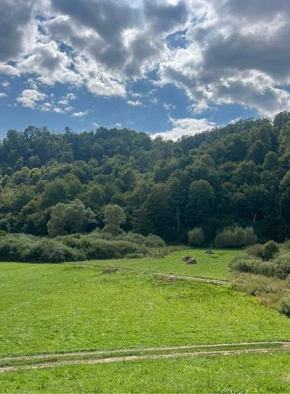 Teren extravilan 60 ari in Ro?ia, Bihor Langa parau, ideal pentru glamping, cabane sau ferma - 2