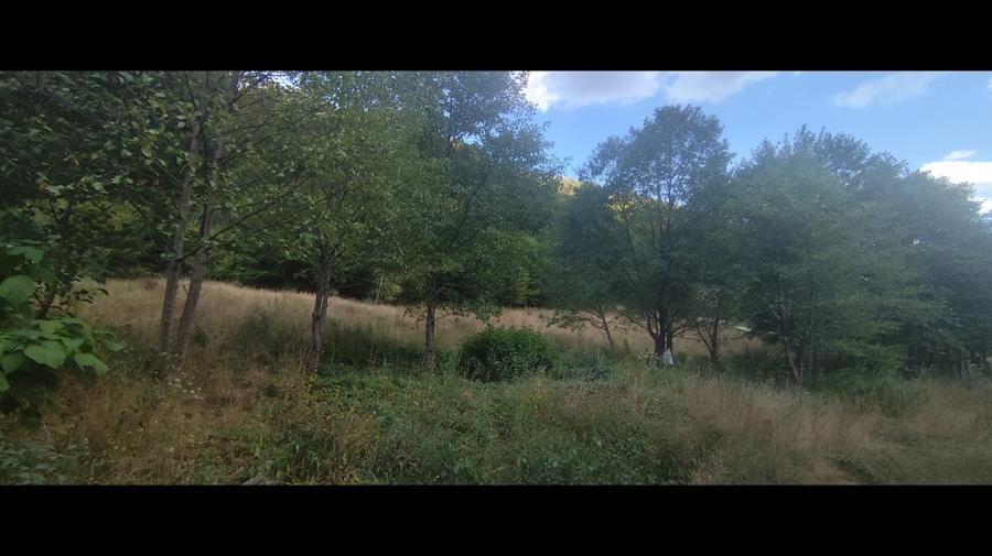 Teren Construcții intravilan de 3542 mp, în Cugir