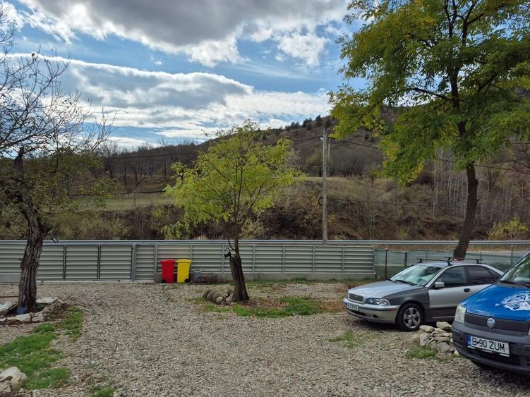 Casă cu 4 camere cu Teren 8000 Mp în Pruni