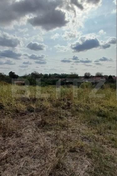 Teren Construcții intravilan de 6983 mp, în Lipovei