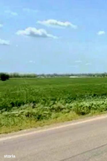 Teren de 12000 mp, în Dărăști-Ilfov