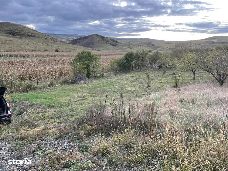 Teren de 833 mp, în Apahida