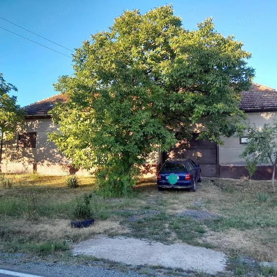Casă cu 5 camere cu Teren 3000 Mp în Dezna