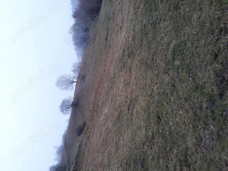 Teren de 11606 mp, în Vișagu