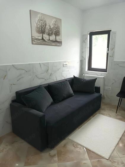 Casă cu 1 camere cu Teren 6000 Mp în Central