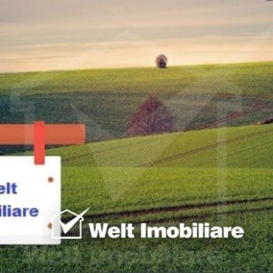 Teren Construcții intravilan de 500 mp, în Chinteni