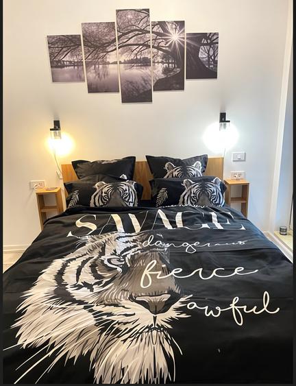 Apartament cu 2 camere decomandat în Parcul Carol