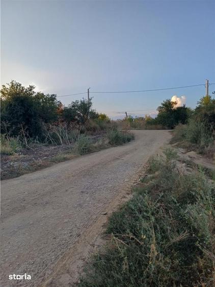 Otopeni-Str.Dr.Garii Balotesti-11.700mp-front 37ml-Ideal Investitie - 4