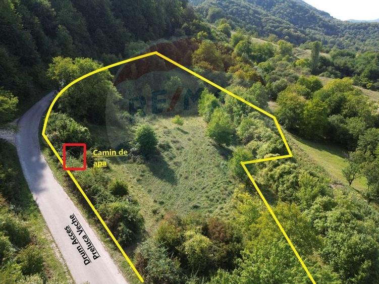Teren Construcții de 5000 mp, în Măgureni