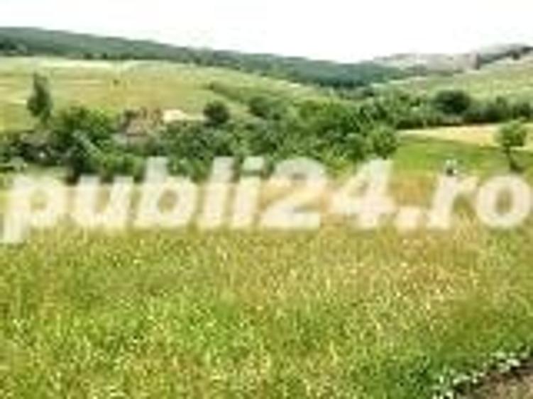 Teren de 6825 mp, în Ortelec