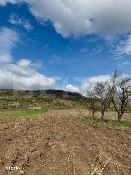 Teren intravilan de vanzare, 1500 mp, zona ?oimus - 3