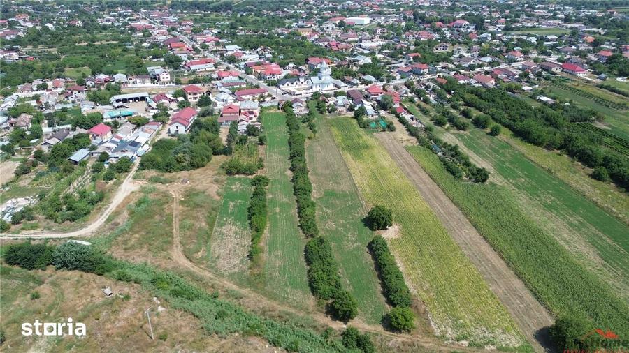 Teren de 4699 mp, în Milcovul
