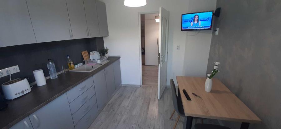 Apartament cu 2 camere decomandat în Rovine