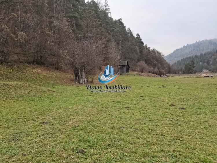 Teren Construcții intravilan de 3560 mp, în Periferie