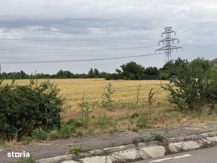 Teren de 5000 mp, în Jilava