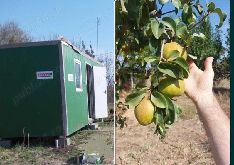 Teren de 1500 mp, în Frumușani