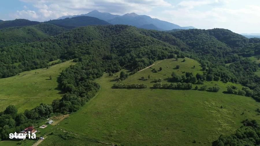 Teren de 11000 mp, în Cheile Râșnoavei