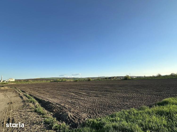 Teren de 10000 mp, în Târnăveni