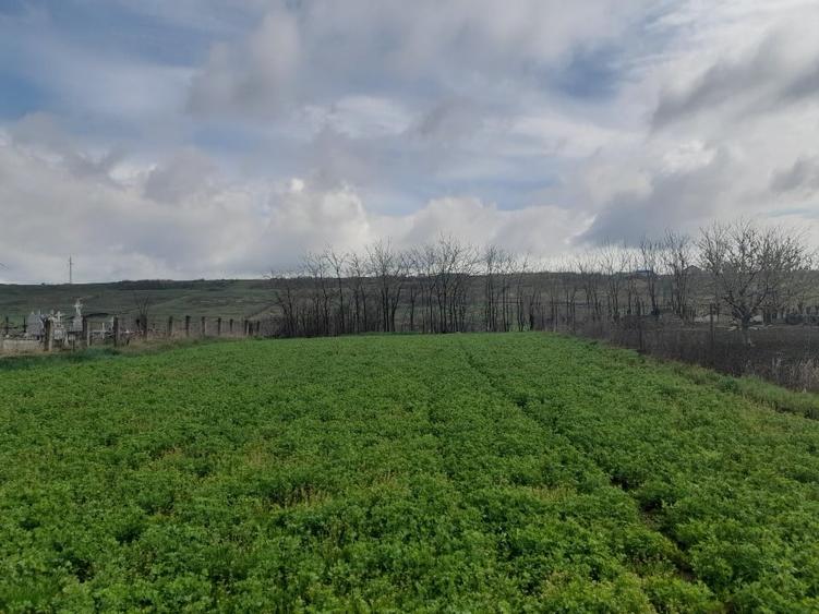 Casă individuală cu 2 camere cu Teren 1058 Mp în Bălțați