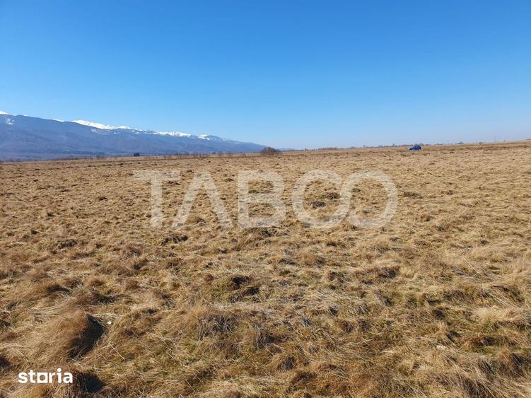 Teren de vanzare 600 mp extravilan la 10 km de autostrada - 1