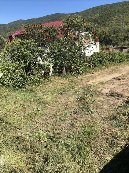 Teren de 4300 mp, în Central